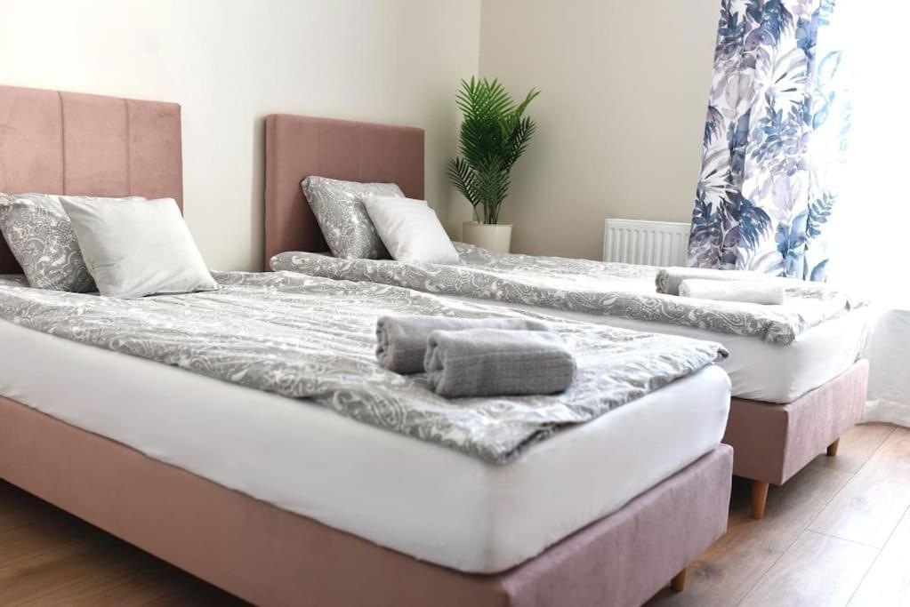 Sowia Z Garazem Podziemnym, Nowy Apartment *
